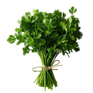 Parsley Bunch
